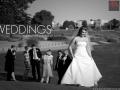 Wedding and Event Photographer