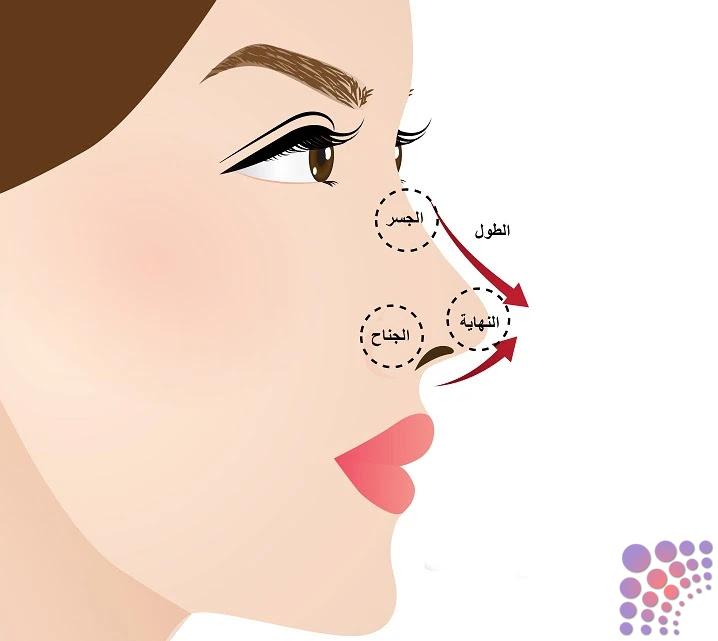 The best nose reduction surgeries in Ajman